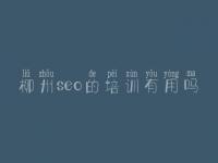 柳州seo的培训有用吗，建设网站的网站首页