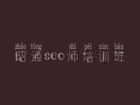 昭通seo师培训班，优化网站搜索