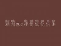 潮州seo搜索优化培训，建设公司网页