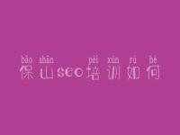 保山seo培训如何，建设网站的步骤