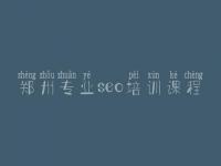 郑州专业seo培训课程 网站关键优化