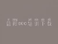 益阳seo培训下载，怎样建设个人网站