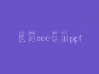 岳阳seo培训ppt，seo视频教程