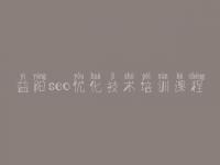 益阳seo优化技术培训课程，seo优化教程全集