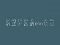 潜江尹高洁seo培训，seo教程免费下载