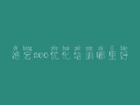 德宏seo优化培训哪里好_怎样搜索引擎优化