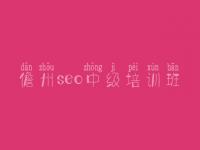 儋州seo中级培训班_企业网站seo教程