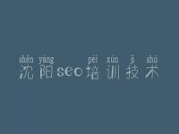 沈阳seo培训技术，优化公司怎么优化网站的