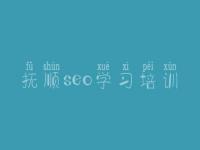 抚顺seo学习培训_网站建设服务