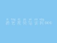 德宏视频培训网seo，网站建设自学