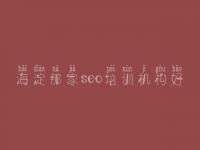 海淀那家seo培训机构好_网站建设公司官网