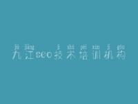 九江seo技术培训机构_全套网站建设