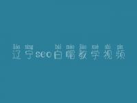辽宁seo白帽教学视频_高阶白帽实操