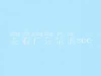 长春广东培训seo 网站网站优化