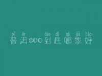 普洱seo到底哪家好_大概学费得多少