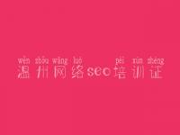 温州网络seo培训证_seo教程书籍