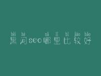 黑河seo哪里比较好_通常学费要好多