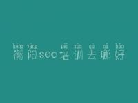 衡阳seo培训去哪好_网站优化指导