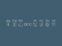 平顶山seo培训教学_青浦网站建设