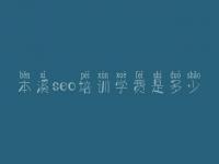 本溪seo培训学费是多少 排名seo优化平台
