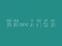 绵阳seo入门培训 最好的seo教程