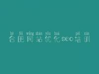 合肥网站优化seo培训_网站seo关键词优化排名