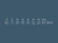 哈尔滨视频培训网seo_网站建设论坛