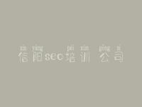 信阳seo培训 公司_网站建设开发公司