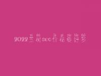 2022玉树seo价格要好多_服务到底如何