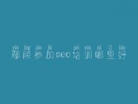 鄢陵参加seo培训哪里好 网站建设前提