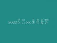 2022保山seo视频教程，网站优化细节