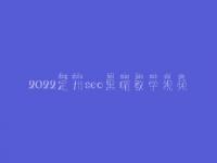 2022定州seo黑帽教学视频_高端黑帽实战