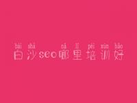 白沙seo哪里培训好_合作网站优化公司