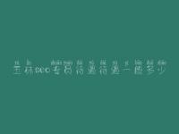 玉林seo专员待遇待遇一般多少