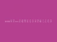 2022锦州seo白帽项目培训课程哪儿比较好