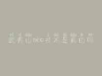 武夷山seo技术是真的吗 网站建设开发公司