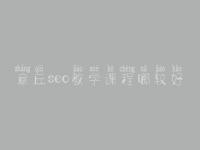 章丘seo教学课程哪较好，网站诊断方案