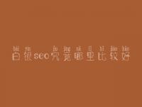 白银seo究竟哪里比较好_费用要多少