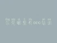 东莞哪里有seo培训_seo教程网盘