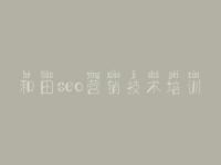 和田seo营销技术培训_网站建设效果