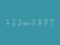 七台河seo学费多少_服务到底好不好