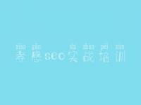 孝感seo实战培训 软件优化网站