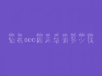仙桃seo周末培训多少钱 网站优化知识
