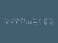 章丘广东seo专业培训 网站优化是怎么回事