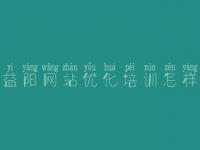 益阳网站优化培训怎样_如何对网站做优化