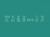 庄河最新seo技术，seo高级视频教程