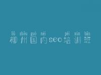 柳州国内seo培训班_网站内部怎么优化