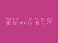 桐城seo培训怎样，关于网站建设