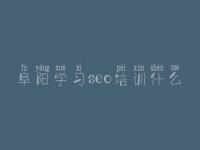 阜阳学习seo培训什么_县政府网站建设