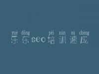 乐东seo培训速成_seo网盘教程